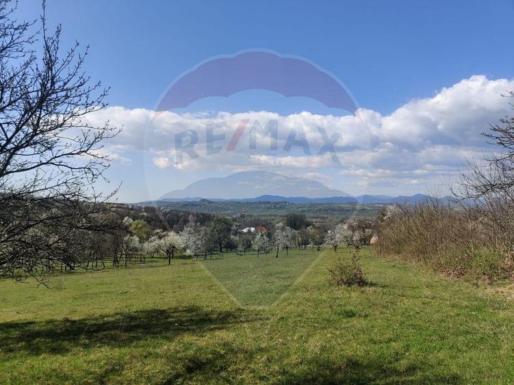 Teren Construcții intravilan de 2671 mp, în Cărbunari