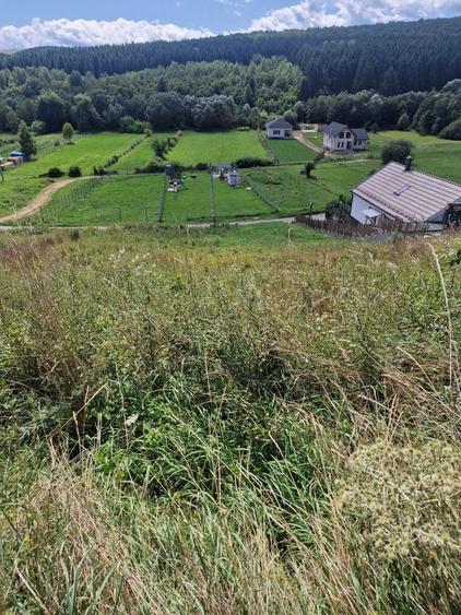 Teren de 1550 mp, în Săvădisla