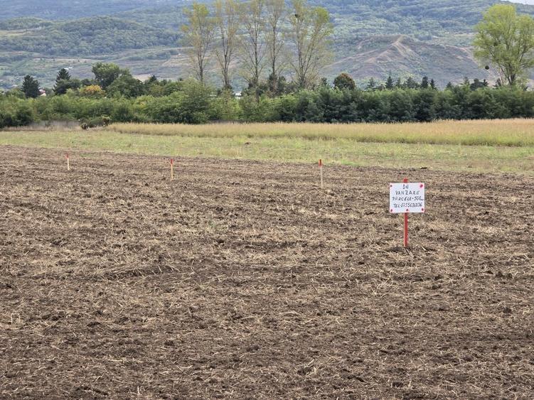 Teren de 500 mp, în Dancu