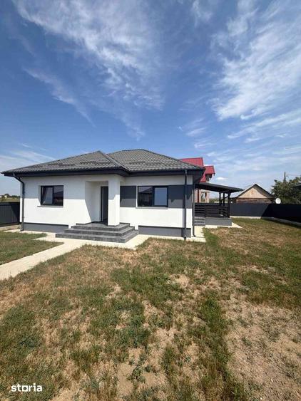 Casa noua Letea Veche- Trecatoarea Holtului - 1