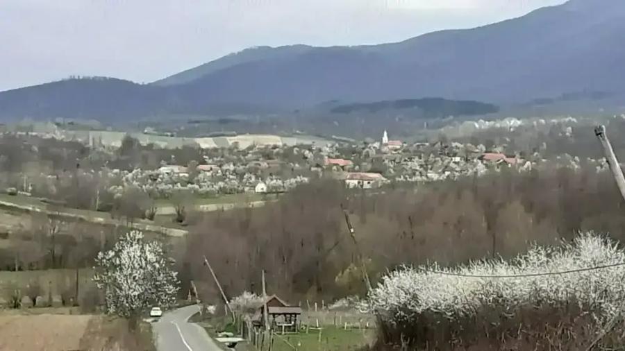 Casă cu 5 camere cu Teren 3000 Mp în Dezna