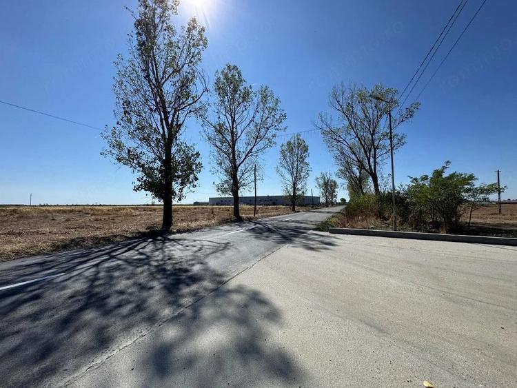 Teren de 27201 mp, în Căteasca