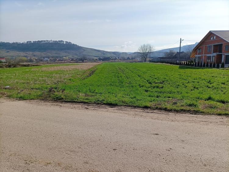 Teren Construcții intravilan de 1292 mp, în Bonțida