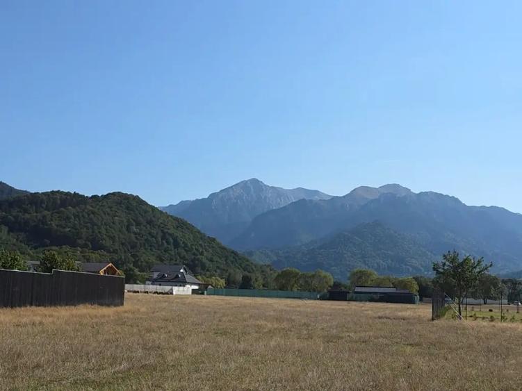 Teren de 1000 mp, în Glăjărie
