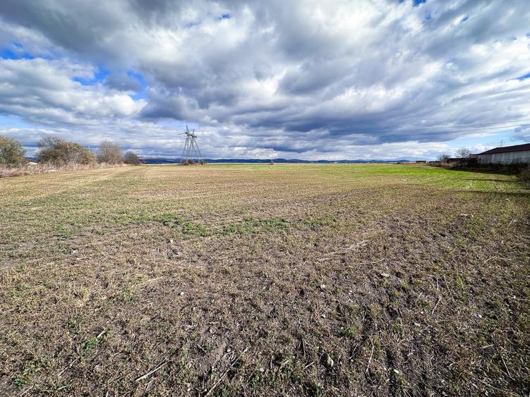 Teren agricol intravilan de 5000 mp, în Hălchiu