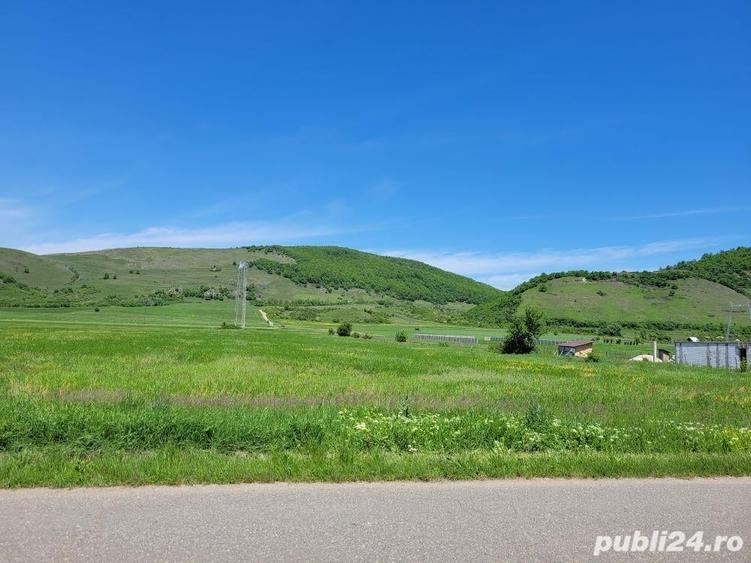 Teren de 5956 mp, în Chimindia