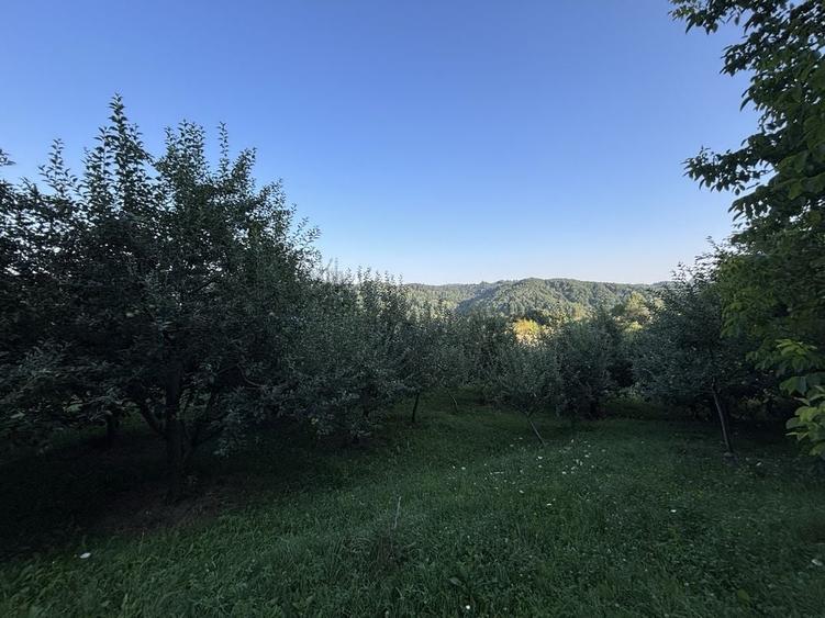 Teren de 5000 mp, în Boteni
