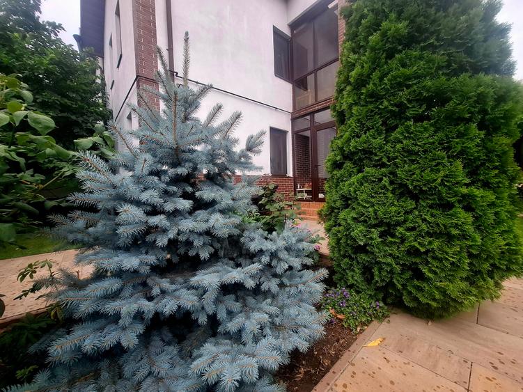 Duplex cu 4 camere cu Canalizare în Bragadiru