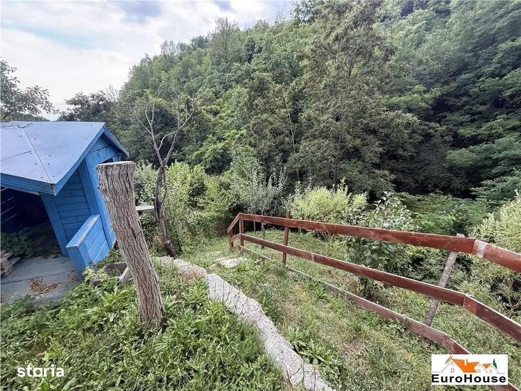 Cabana + Teren De Vanzare La 14Km De Alba - 10