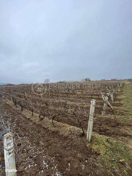 Spațiu comercial, în Chicerea