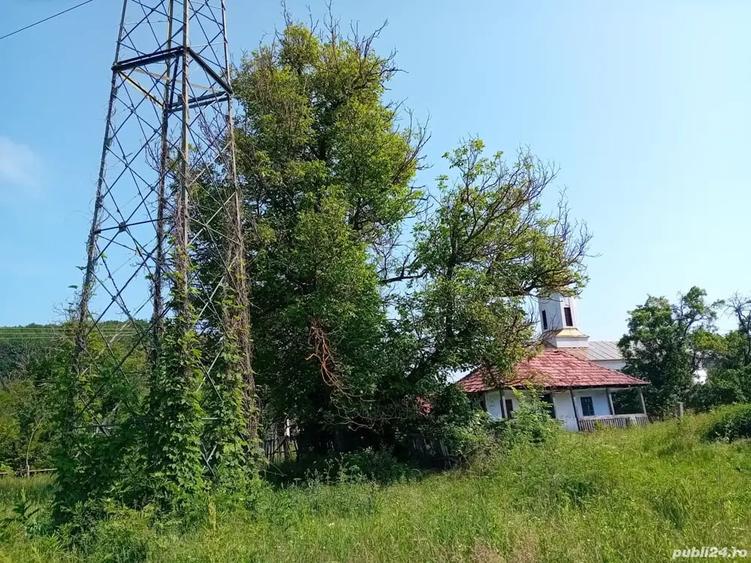 Teren de 4000 mp, în Băbana