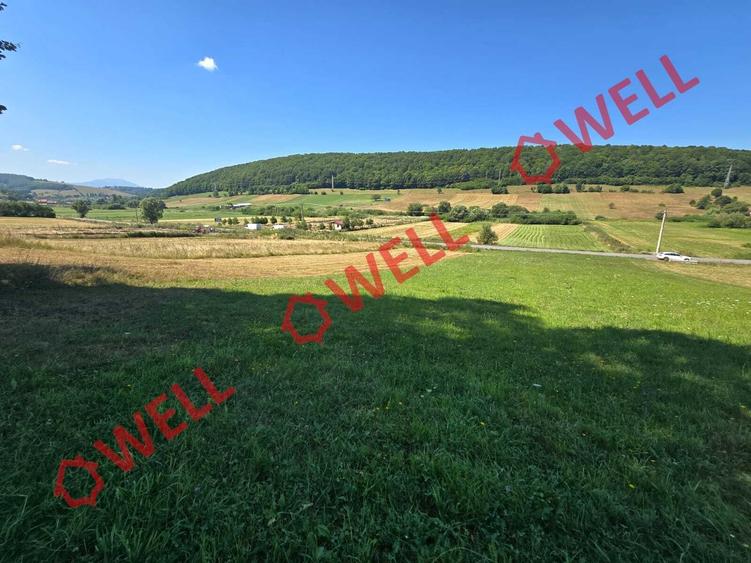 Teren extravilan de 3450 mp, în Valea Mare