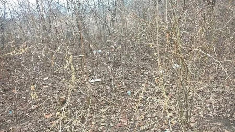 Teren de 913 mp, în Gornet
