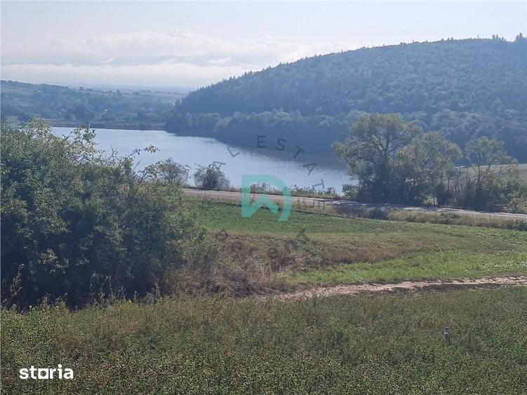 Teren de 50000 mp, în Moacșa