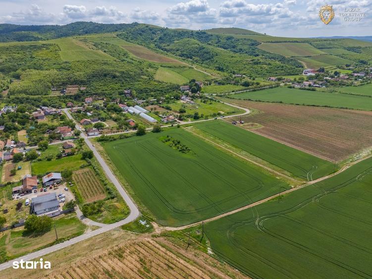 Teren de 6400 mp, în Ghioroc