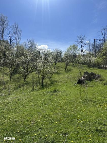 Spațiu comercial, de 2,035 mp, în Provița de Jos