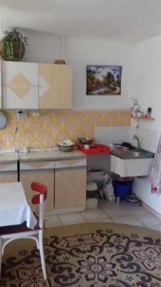 Vanda casa judetul Constanta,comuna Oltina - 4