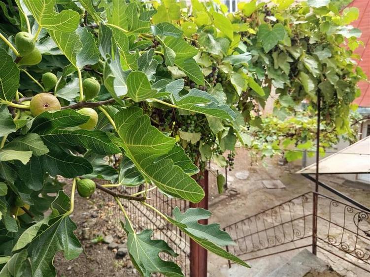 Casă individuală cu 7 camere cu Canalizare în Vest