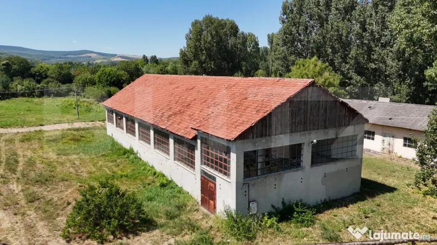 Teren în Răducăneni