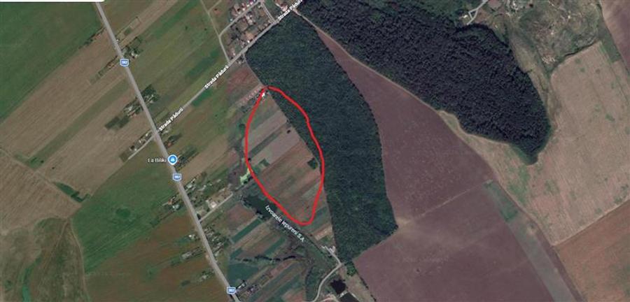 Teren Construcții intravilan de 5383 mp, în Movileni