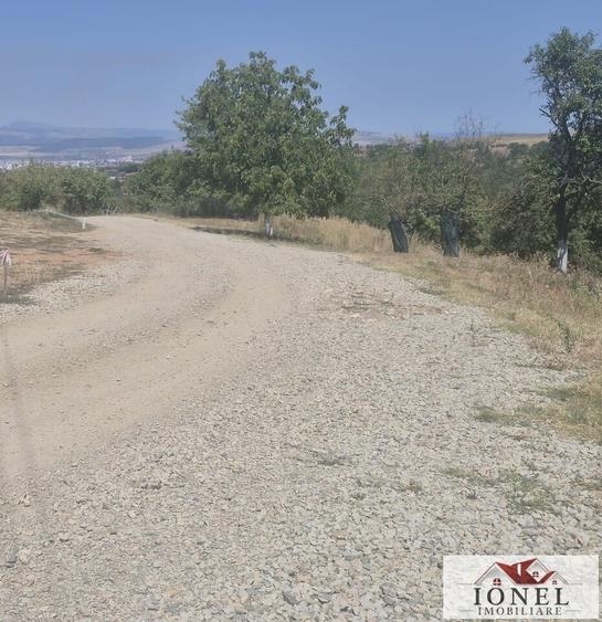 Teren Construcții intravilan de 728 mp, în Est
