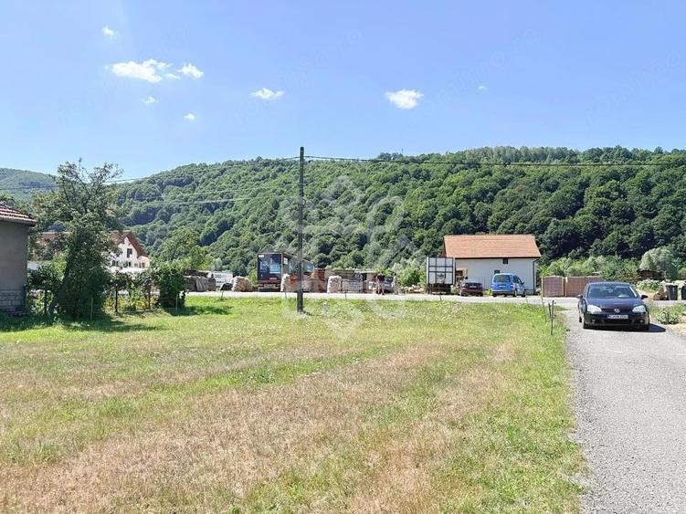 Teren de 4031 mp, în Negreni