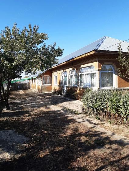 Casă cu Teren 2000 Mp în Comana