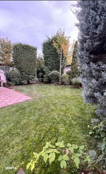 Casă cu 3 camere cu Teren 330 Mp în Lipovei