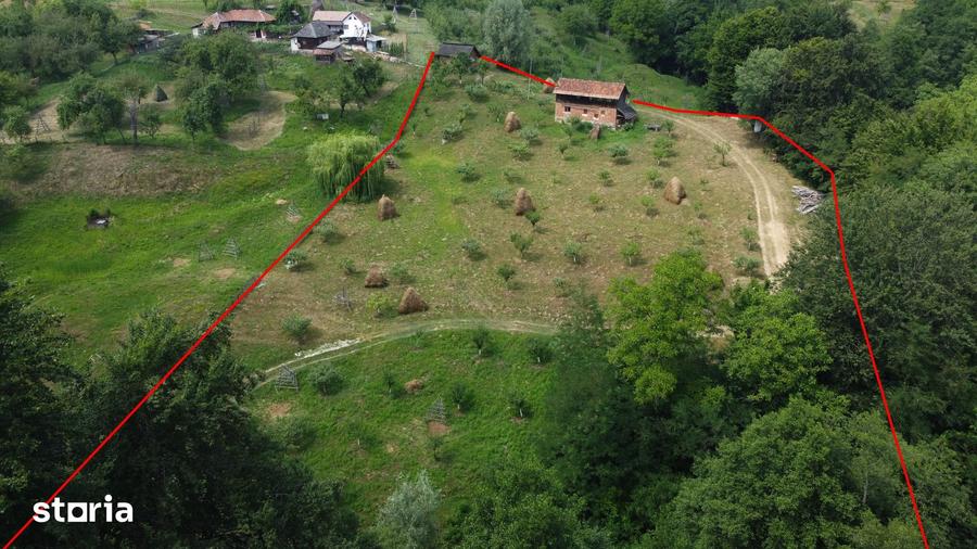 Teren de 6200 mp, în Cicănești