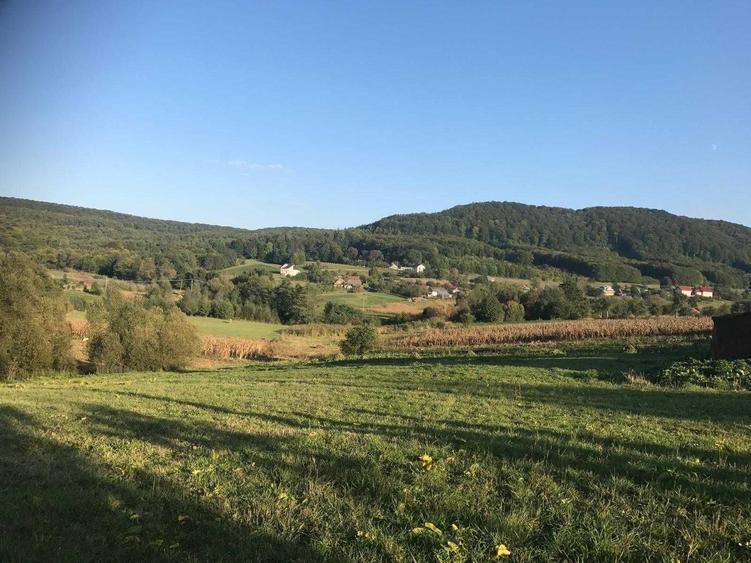 Teren de 2500 mp, în Dărmănești