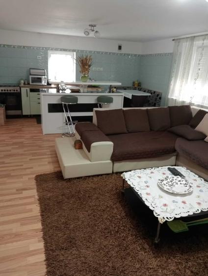 Casă cu 4 camere cu Teren 1200 Mp în Obreja