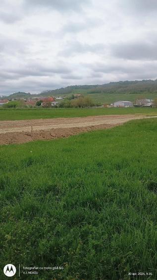 Inchirez teren extravilan, zona industriala, la 5 minute de Aeroport Sibiu - 8