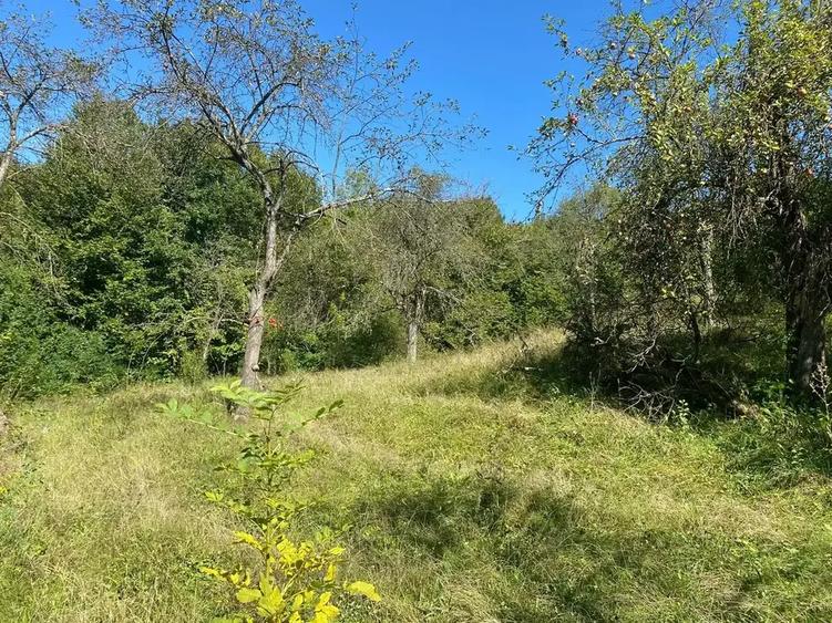 Teren intravilan de 2500 mp, în Urseiu