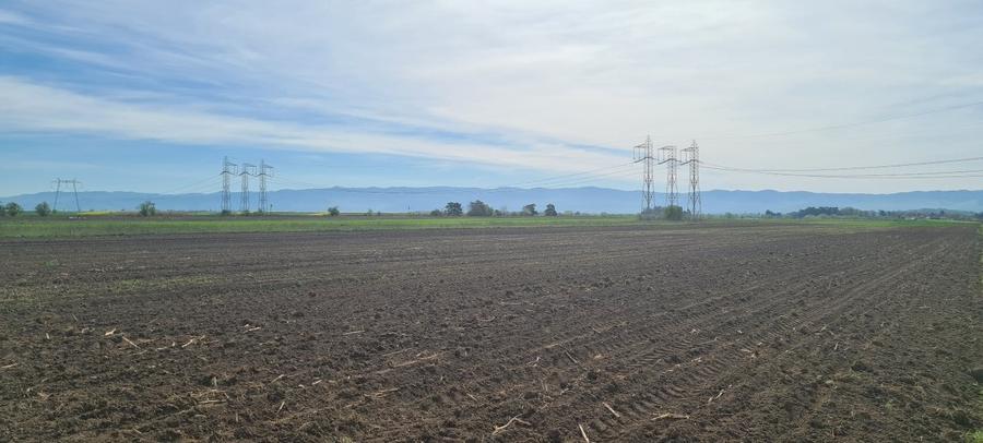 Teren agricol extravilan de 8500 mp, în Reci