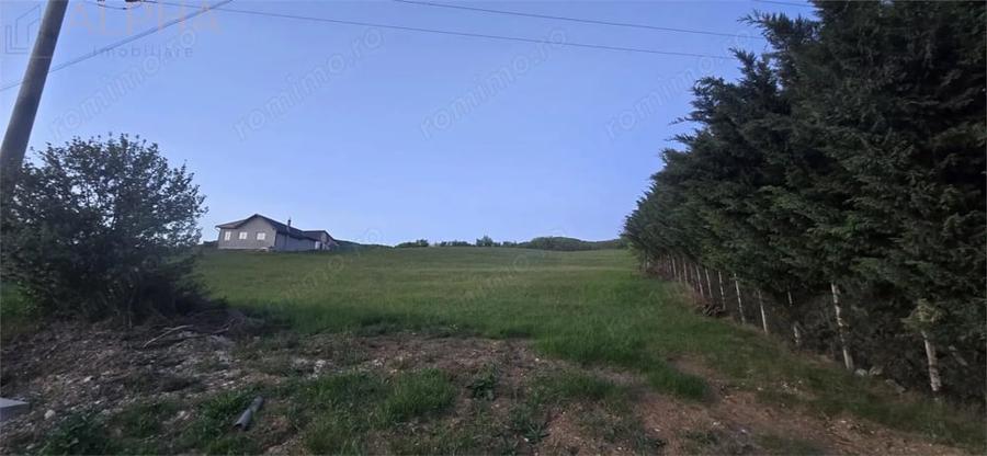 Teren de 5000 mp, în Crainimăt