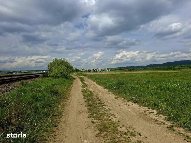 Teren extravilan de vanzare Talmaciu