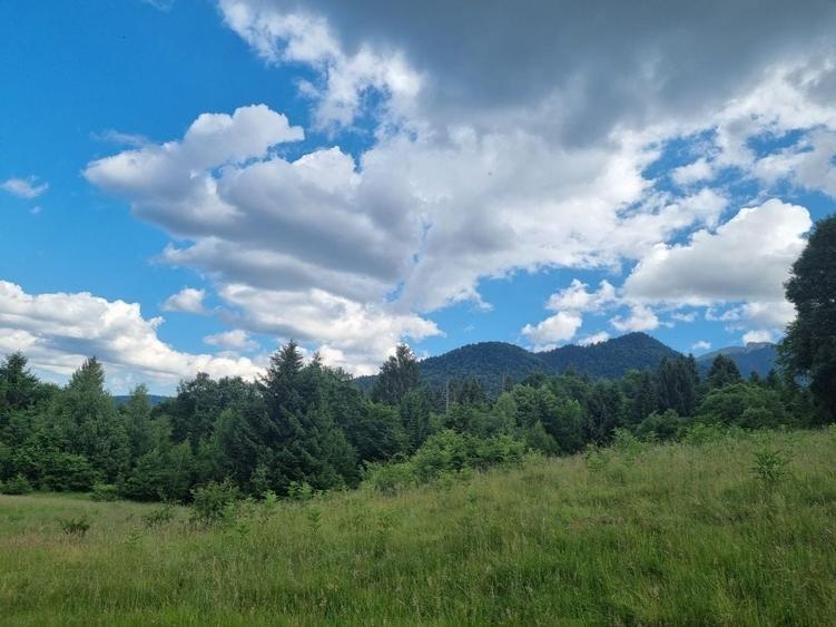 Teren de 9300 mp, în Pănicel