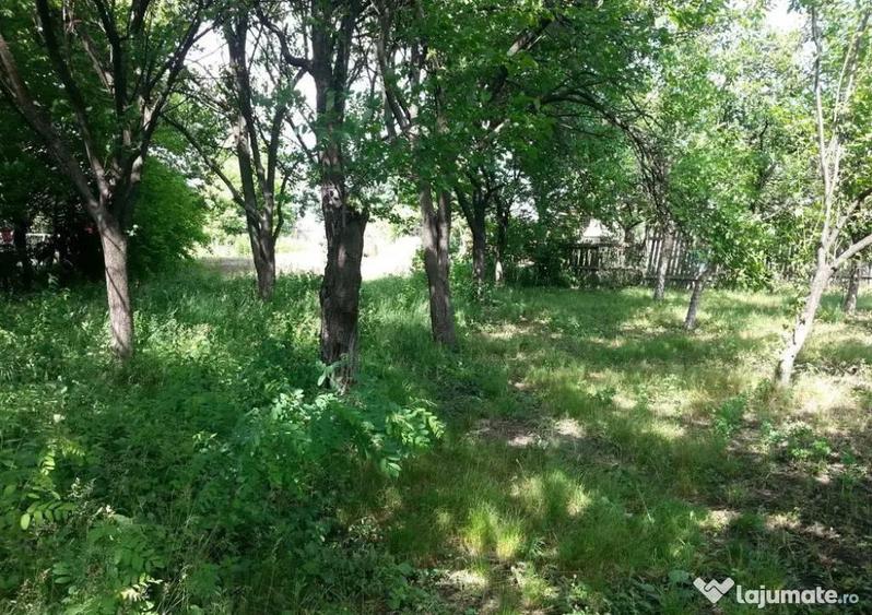 Teren intravilan, 1143 mp, zona Hipodrom - 1