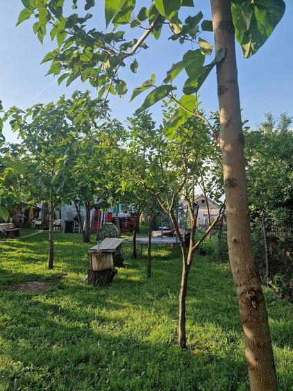 Casa de vanzare, din Bca 2013 - 10