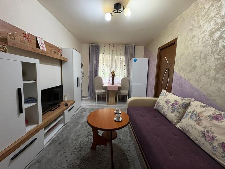 Apartament cu 2 camere semidecomandat, mobilat în Mureșeni