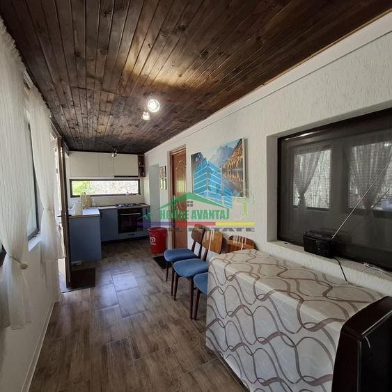 Casa de Vacanta Lepsa - 3