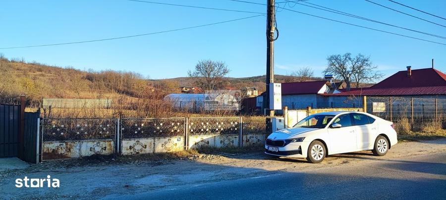 Teren de 3129 mp, în Homocea