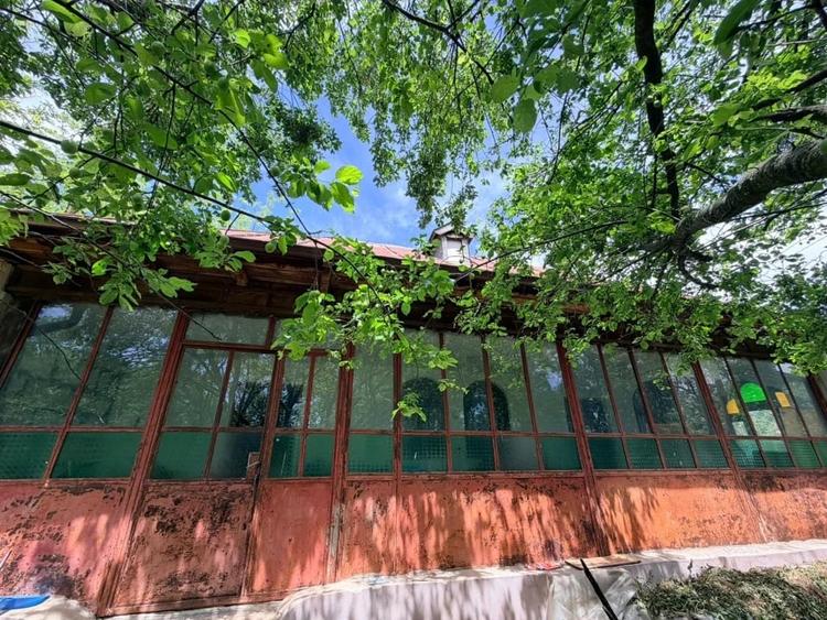 Casă cu 2 camere cu Teren 1192 Mp în Mischii