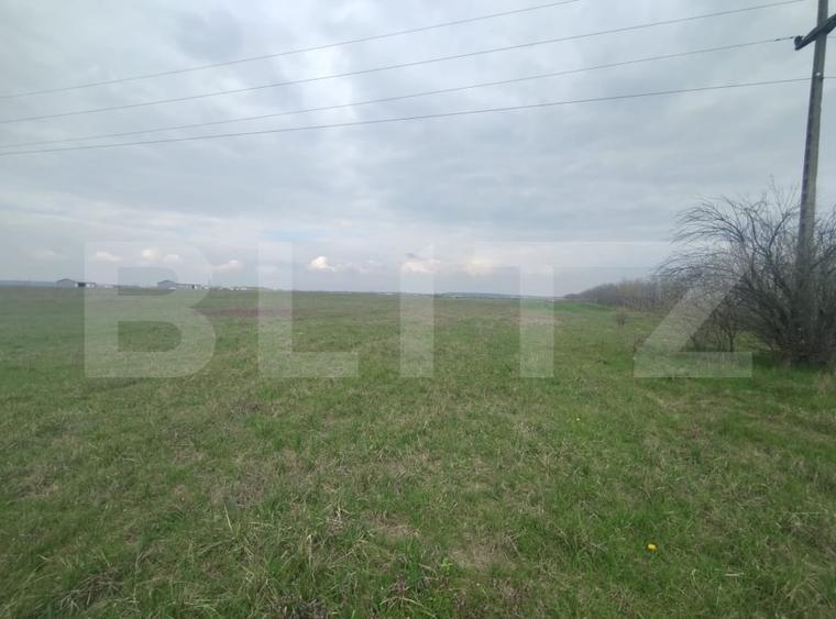 Teren intravilan industrial, Centura de Nord, 2.1 ha, deschidere 41m - 2