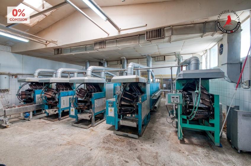 Spațiu industrial, în Frătești
