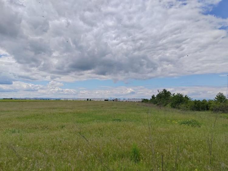 Teren de 114000 mp, în Ariceștii Rahtivani