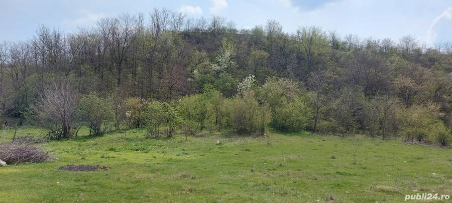 Teren de 3100 mp, în Axintele