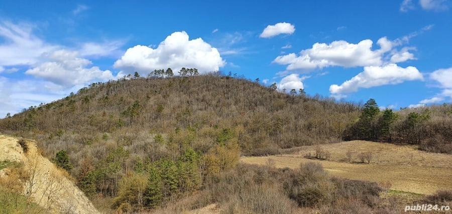 Teren în Bogata