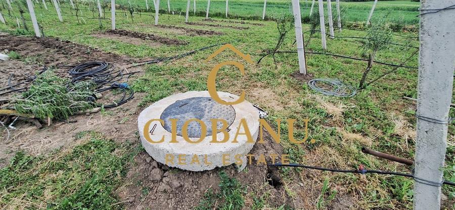 Teren agricol intravilan de 9000 mp, în Exterior Nord