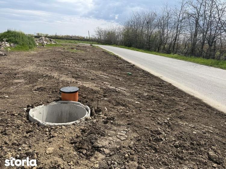 Teren intravilan asfalt Poiana 437mp/14.5 deschidere - 3